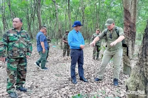 Khảo sát, trao đổi thông tin liên quan đến việc tìm kiếm quy tập hài cốt liệt sĩ tại Campuchia