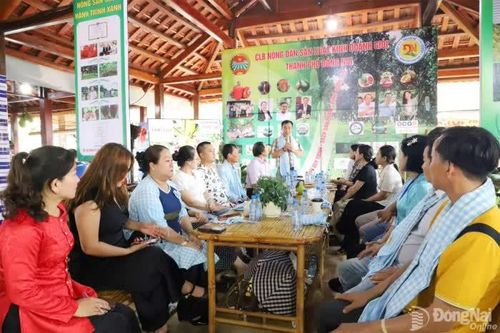 Câu lạc bộ Nông dân sản xuất, kinh doanh giỏi triển khai nhiều hoạt động