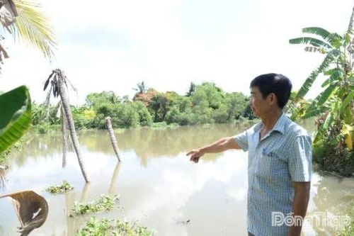 Tuyến đường Đông sông Trà Tân: Sạt lở ảnh hưởng đến đời sống người dân