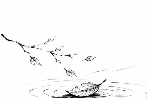 Gió thổi về xưa sau...