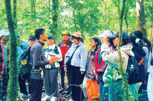 Du lịch rừng - những lưu ý