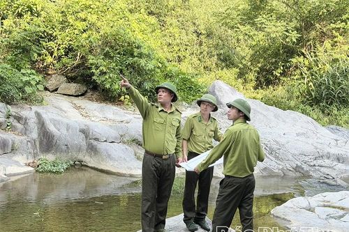 Giữ màu xanh Tam Đảo trước nguy cơ cháy rừng mùa nắng nóng