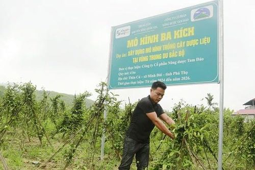 Hướng mở từ đất rừng xóm Cú