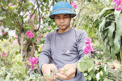 Vượt khó làm giàu
