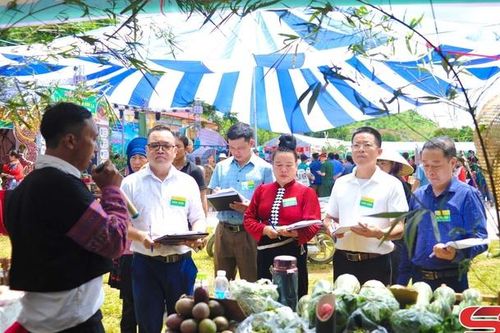 Rộn ràng Ngày hội mận Yên Sơn 2026