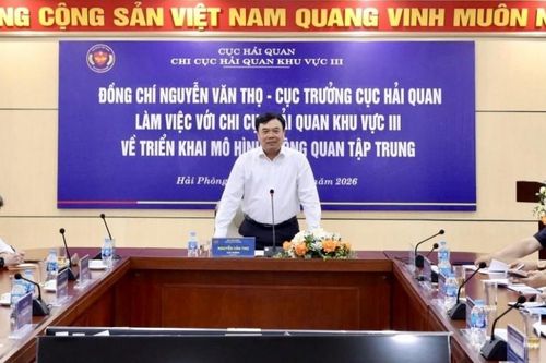 Kiểm tra đôn đốc vận hành thông quan tập trung tại Hải quan khu vực III từ 1/6/2026