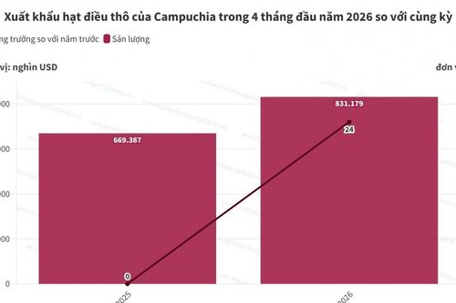 Campuchia xuất khẩu hơn 830.000 tấn hạt điều thô trong 4 tháng
