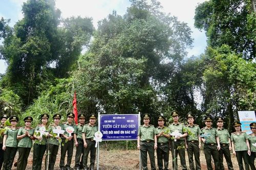 Cục Đào tạo và các đơn vị phát động trồng cây 'Đời đời nhớ ơn Bác Hồ'