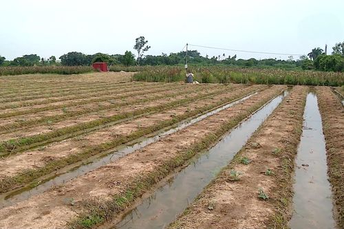 Lãng phí nguồn lực đất đai từ các dự án chậm triển khai