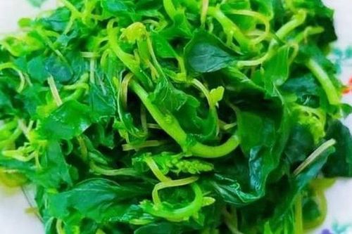 Loại rau chứa lượng folate gấp 36 lần dưa chuột: Siêu thực phẩm mùa hè tăng sức đề kháng
