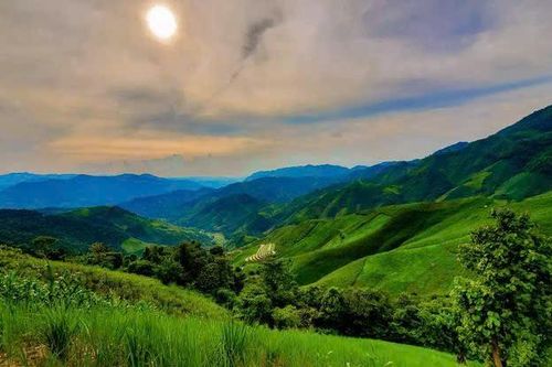 Gia lai hợp nhất 29 Ban quản lý rừng phòng hộ, nâng cao hiệu quả quản lý tài nguyên rừng