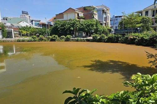 Mặt nước hồ Trái Tim ở Huế xuất hiện váng, đổi màu bất thường