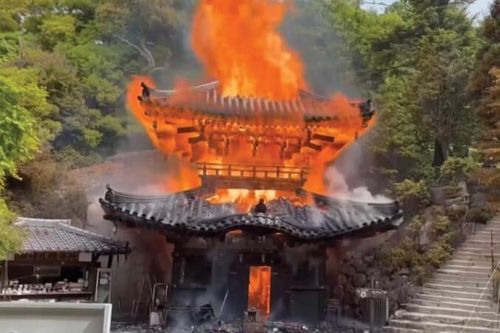 'Ngọn lửa vĩnh cửu' 1.200 năm nghi làm cháy rụi điện thờ ở Nhật Bản