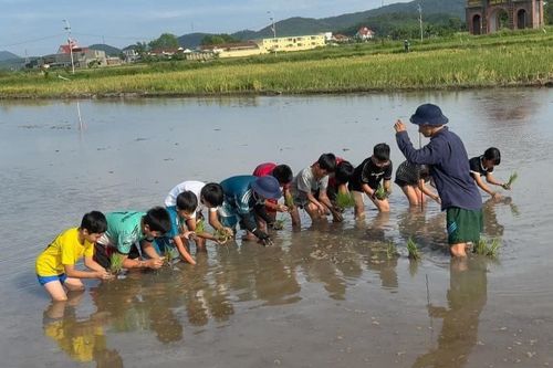 Khối nghỉ hè học cấy lúa gây sốt MXH