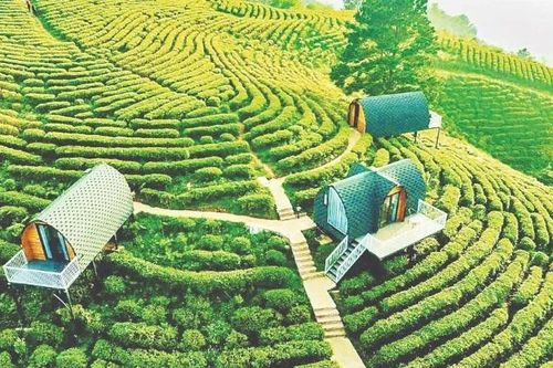 Sức hút mới của Cao Bằng