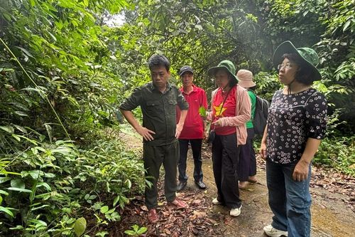 Đánh thức kho dược liệu giữa đại ngàn Vũ Quang