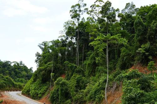 Sứ mệnh mới của đường quân giới 74