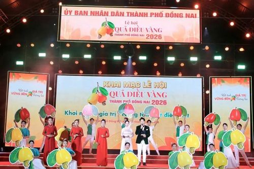 Sôi nổi lễ hội Quả điều vàng TP Đồng Nai năm 2026