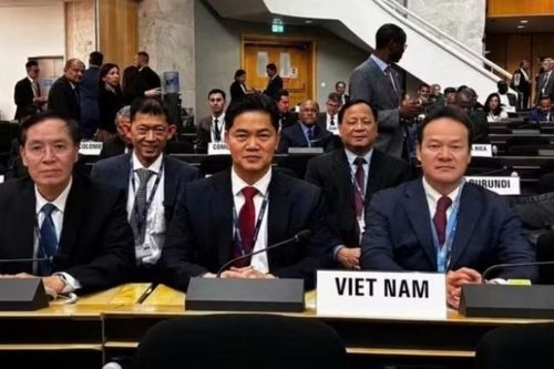 Đại hội đồng Y tế thế giới thông qua hàng loạt nghị quyết về sức khỏe toàn cầu