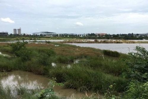Hơn 2.000 ha đất bị loại khỏi danh sách thí điểm làm nhà ở thương mại