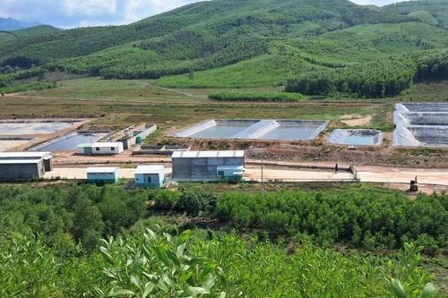 Trại nuôi heo quy mô hơn vạn con gây ô nhiễm nặng ở Đắk Lắk