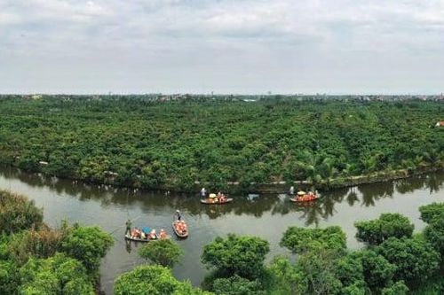 Độc đáo du lịch mùa vải chín ở Hải Phòng