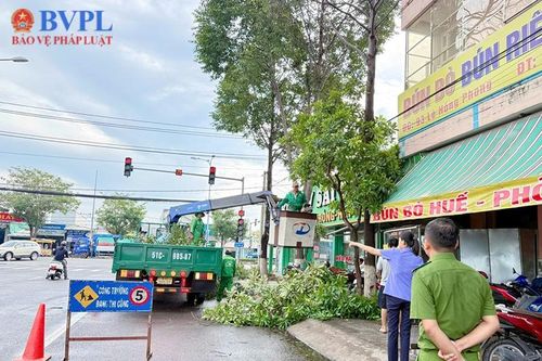 Tích cực đưa Nghị quyết số 205 vào thực tiễn đời sống