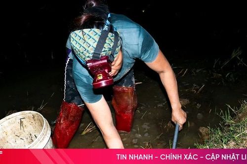 Lội bùn 'săn' cua đồng trong đêm