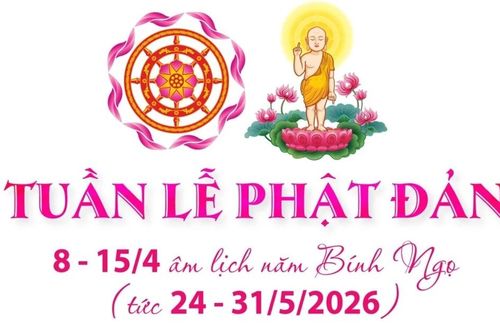 Thông tin về các hoạt động trong tuần lễ Phật đản