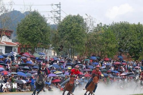 Hàng nghìn người dân và du khách đến cổ vũ Giải đua ngựa truyền thống Bắc Hà