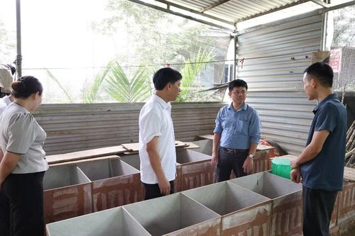 Trung Hạ phát triển các mô hình kinh tế chăn nuôi