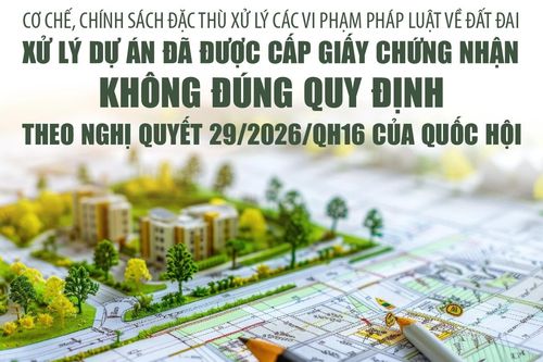 Cơ chế, chính sách đặc thù xử lý các vi phạm pháp luật về đất đai: Xử lý dự án đã được cấp giấy chứng nhận không đúng quy định