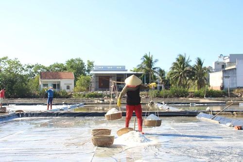 Diêm dân Gia Lai chật vật ngay từ đầu vụ muối