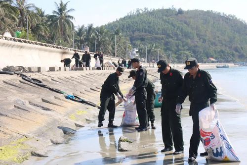 Các đơn vị phối hợp ra quân 'Ngày Chủ nhật xanh'