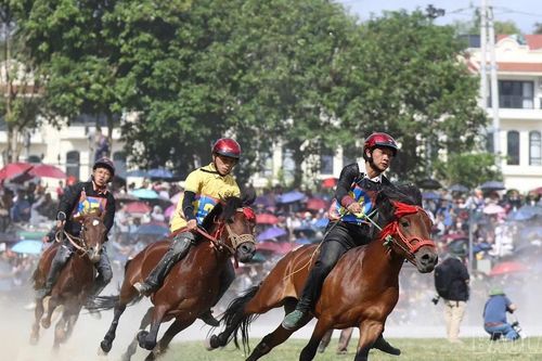 Kịch tính vòng chung kết Giải đua ngựa truyền thống Bắc Hà lần thứ 19