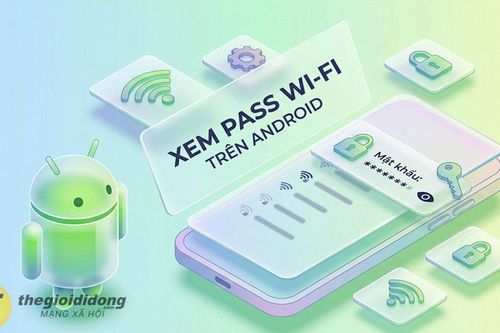 Cách xem mật khẩu Wi-Fi đã kết nối trên điện thoại Android đơn giản để chia sẻ mạng nhanh chóng