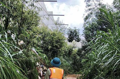 Huy động lực lượng tìm kiếm bé gái 13 tuổi bị nước lũ cuốn trôi ở Lang Biang - Đà Lạt