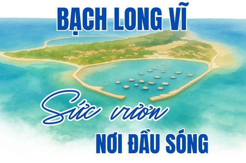 Bạch Long Vĩ: Sức vươn nơi đầu sóng