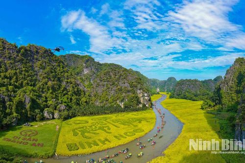 Photo tour Sắc vàng Tam Cốc - Tràng An 2026, hấp dẫn, ấn tượng, nhiều cảm xúc