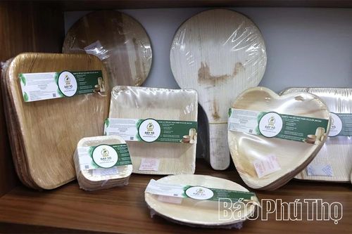 Những sản phẩm thân thiện với môi trường được làm từ chiếc mo cau
