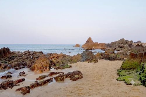 Tâm tình miền chân sóng