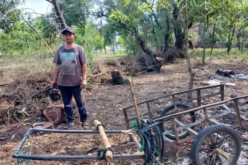 Phát hiện các vụ vận chuyển gỗ phi lao trái phép tại xã Cam Hồng