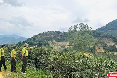 Ngăn chặn tình trạng lấn chiếm đất rừng