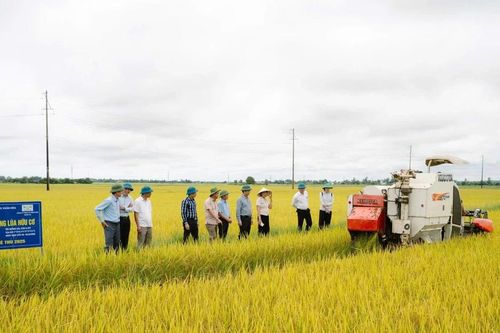Giải pháp để sản xuất xanh hơn, phát thải thấp hơn