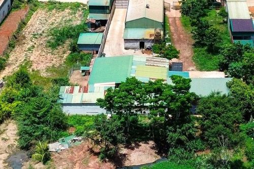 Cuộc sống dân cư đảo lộn vì mùi hôi từ cơ sở tập kết heo