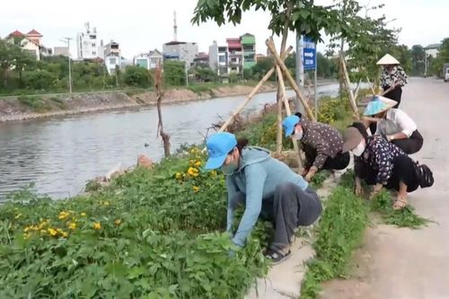 Giữ màu xanh từ mỗi ngõ xóm