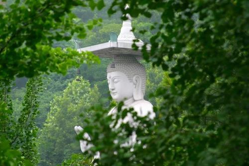 Phật giáo và vấn đề giải quyết xung đột xã hội