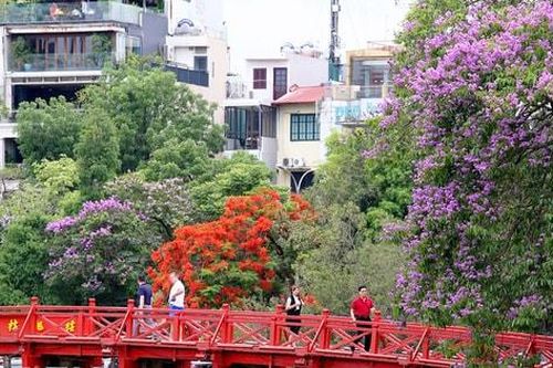Sắc màu cây đô thị