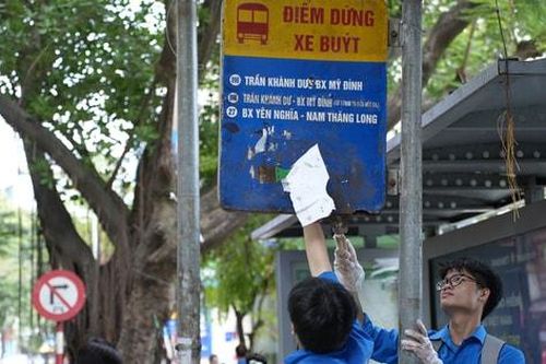 Tuổi trẻ phường Láng chung tay bảo vệ môi trường: Chuyển hóa quyết tâm thành hành động thực tiễn