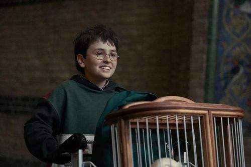 Harry Potter bản truyền hình tung teaser mới dài 8 giây, fan chê 'Mới dữ chưa?'
